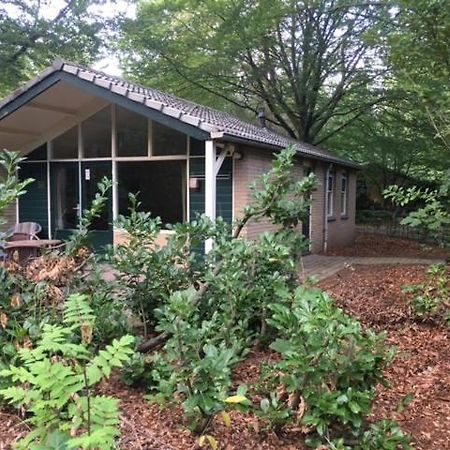 Vakantiebungalow De Schaapskooi Epe Kültér fotó