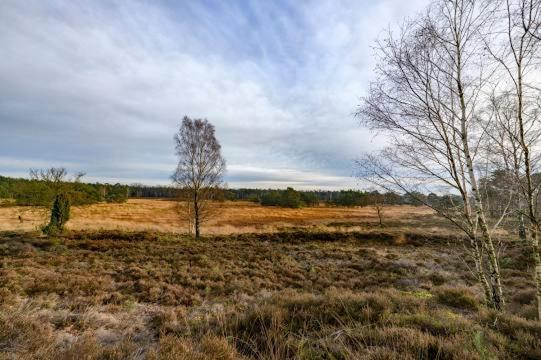 Vakantiebungalow De Schaapskooi Epe Kültér fotó